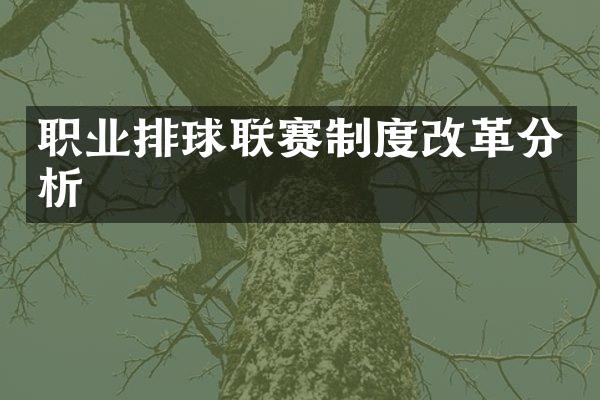 职业排球联赛制度改革分析