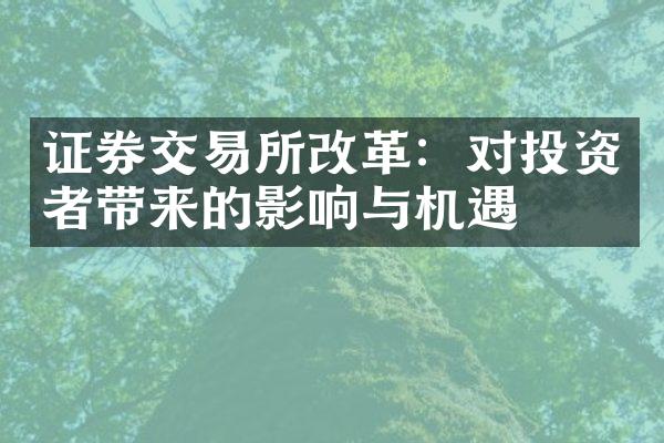 证券交易所改革：对投资者带来的影响与机遇