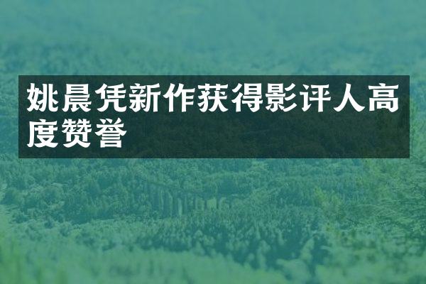 姚晨凭新作获得影评人高度赞誉