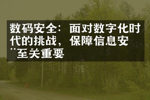 数码安全：面对数字化时代的挑战，保障信息安全至关重要