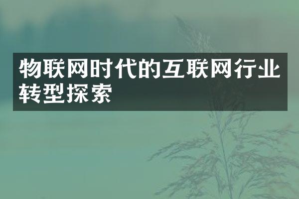 物联网时代的互联网行业转型探索