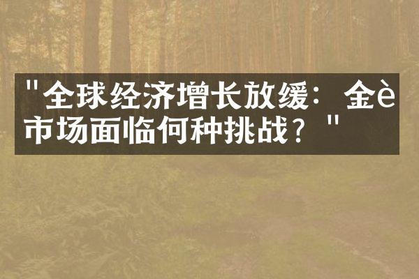 "全球经济增长放缓：金融市场面临何种挑战？"