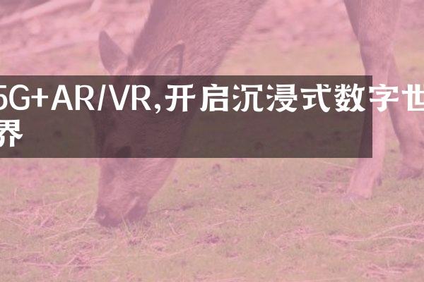 5G+AR/VR,开启沉浸式数字世界