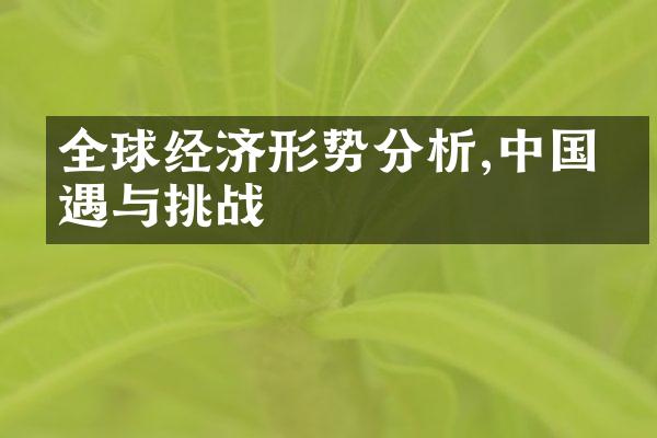 全球经济形势分析,中国机遇与挑战