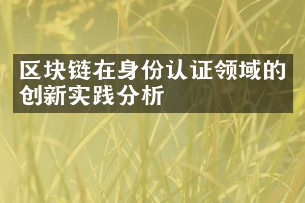 区块链在身份认证领域的创新实践分析