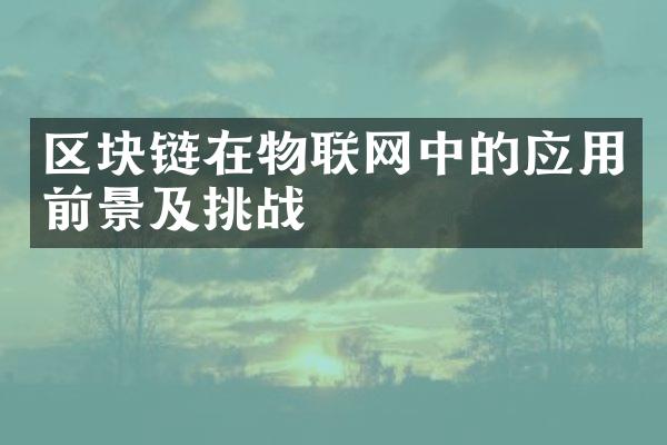 区块链在物联网中的应用前景及挑战