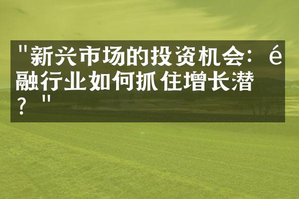 "新兴市场的投资机会：金融行业如何抓住增长潜力？"