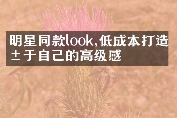 明星同款look,低成本打造属于自己的高级感