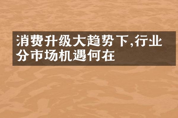 消费升级大趋势下,行业细分市场机遇何在