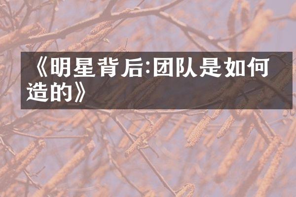 《明星背后:团队是如何打造的》