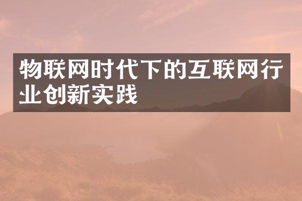 物联网时代下的互联网行业创新实践