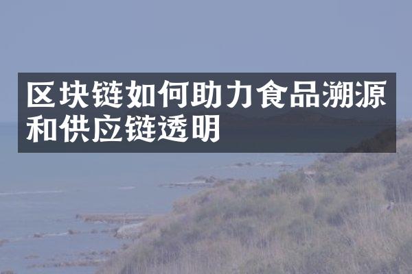 区块链如何助力食品溯源和供应链透明