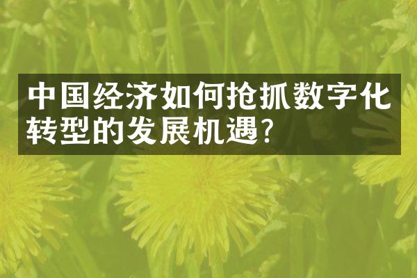 中国经济如何抢抓数字化转型的发展机遇?