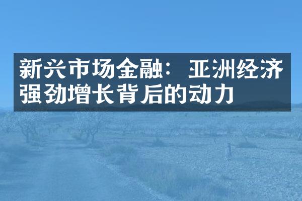 新兴市场金融：亚洲经济强劲增长背后的动力