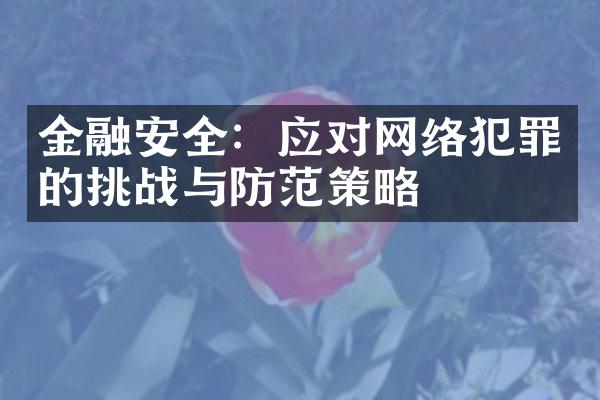 金融安全：应对网络犯罪的挑战与防范策略