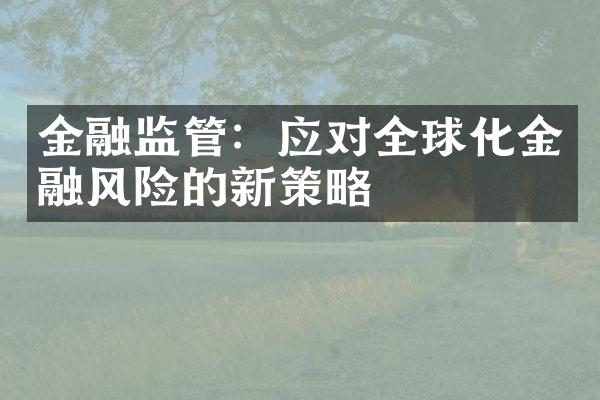 金融监管：应对全球化金融风险的新策略