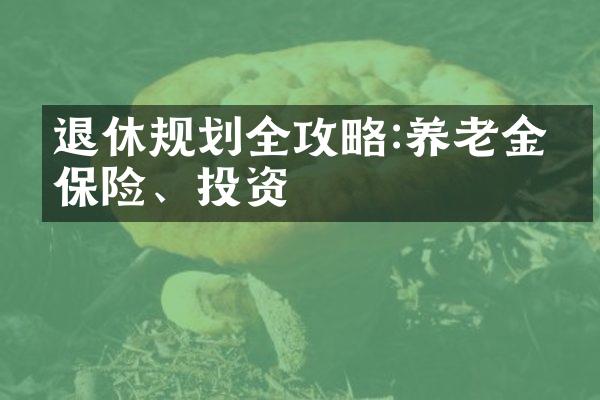 退休规划全攻略:养老金、保险、投资