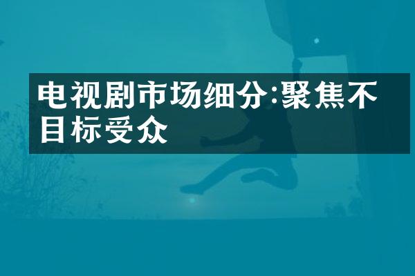 电视剧市场细分:聚焦不同目标受众