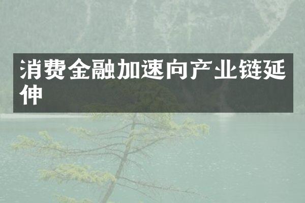 消费金融加速向产业链延伸