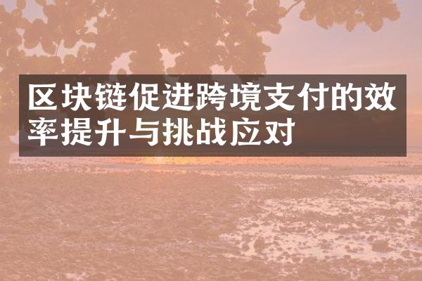 区块链促进跨境支付的效率提升与挑战应对