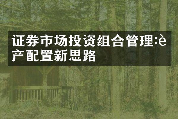 证券市场投资组合管理:资产配置新思路