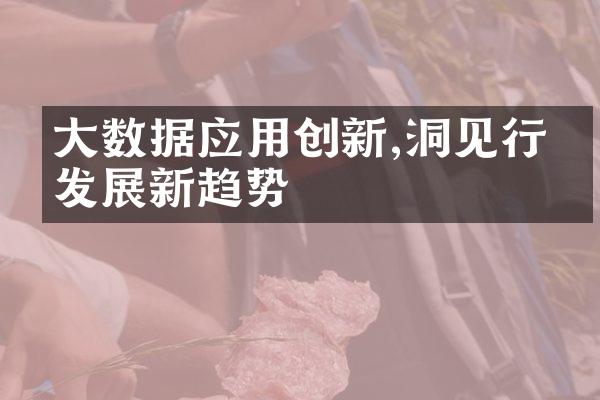 大数据应用创新,洞见行业发展新趋势