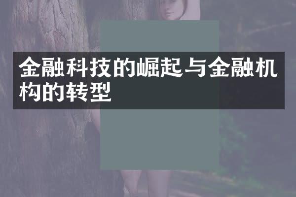 金融科技的崛起与金融机构的转型