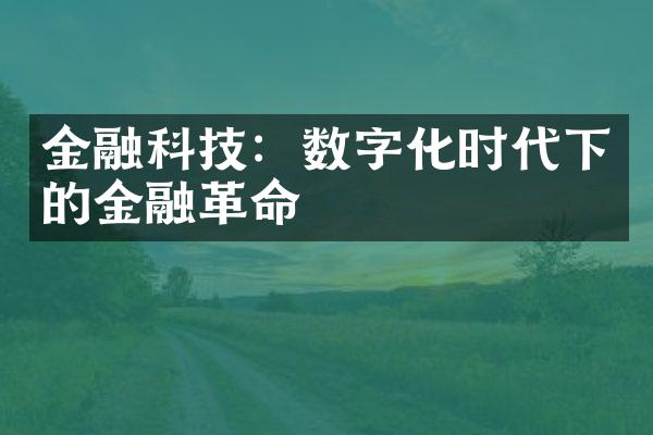 金融科技：数字化时代下的金融革命