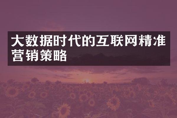 大数据时代的互联网精准营销策略