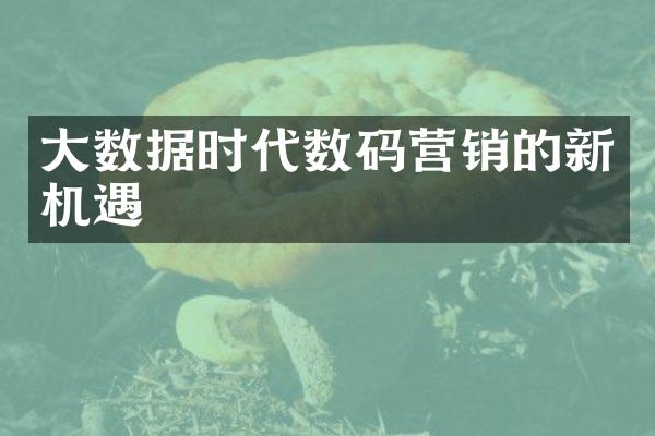 大数据时代数码营销的新机遇