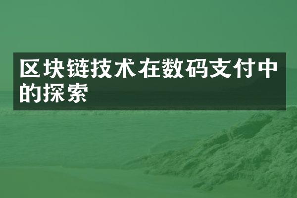 区块链技术在数码支付中的探索