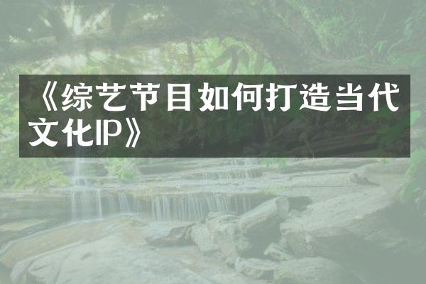 《综艺节目如何打造当代文化IP》