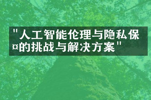 "人工智能伦理与隐私保护的挑战与解决方案"