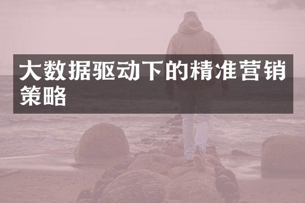 大数据驱动下的精准营销策略