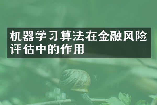 机器学习算法在金融风险评估中的作用