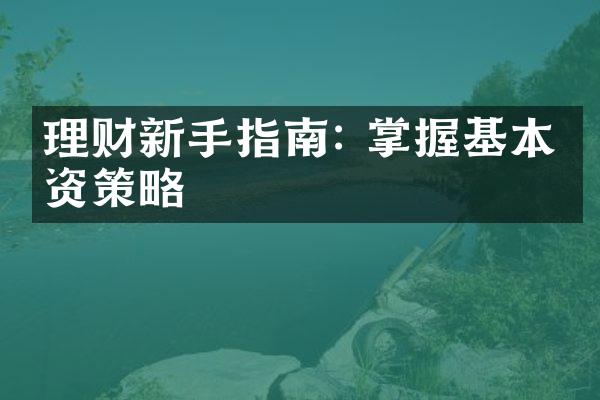 理财新手指南: 掌握基本投资策略