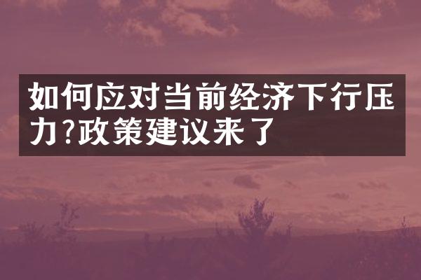 如何应对当前经济下行压力?政策建议来了