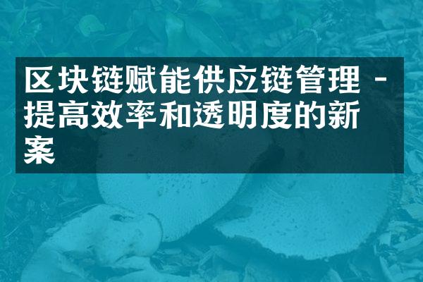 区块链赋能供应链管理 - 提高效率和透明度的新方案