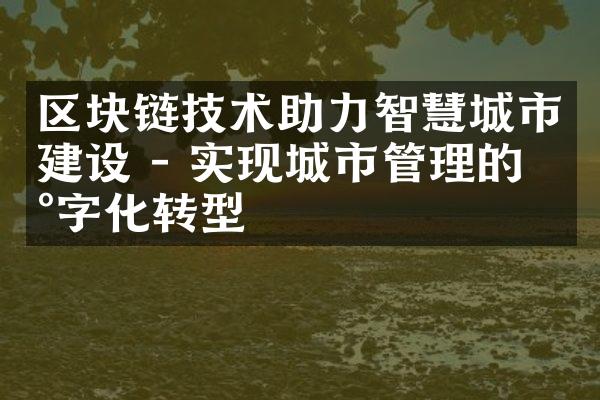 区块链技术助力智慧城市建设 - 实现城市管理的数字化转型