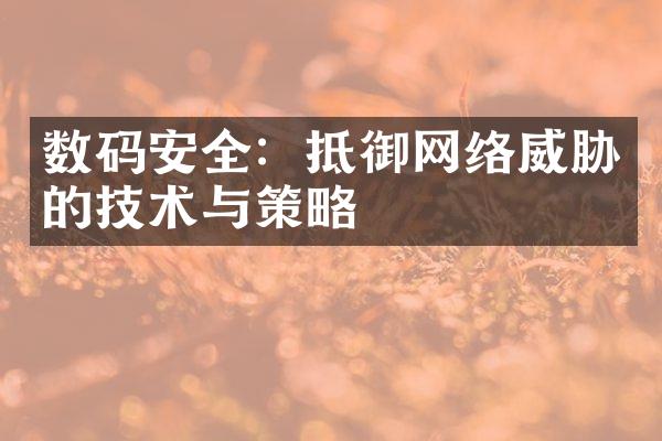 数码安全：抵御网络威胁的技术与策略