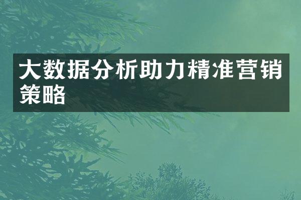 大数据分析助力精准营销策略